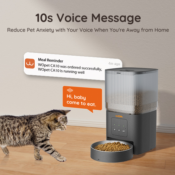 WOpet Cube Air WiFi Pet Feeder