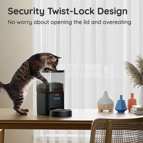 WOpet Cube Lite Automatic Pet Feeder