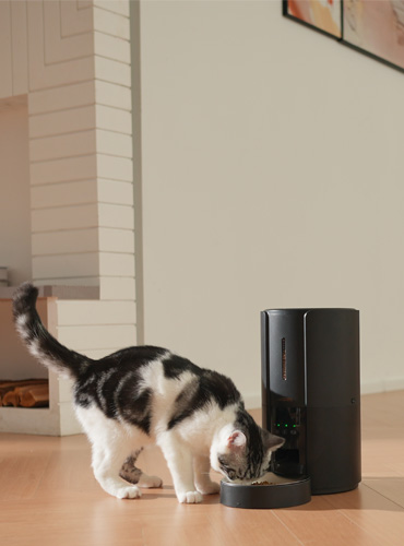WOpet Castle Automatic WiFi Pet Feeder