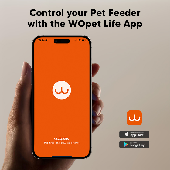 WOpet Heritage View Automatic Pet Feeder with Camera [Dual Bowls]