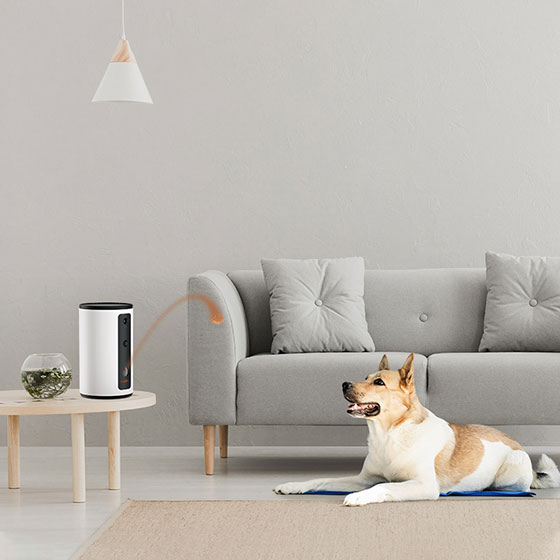 WOpet Dog Treat Camera Dispenser Dog Camera with Treat Interactive Toy丨Guardian