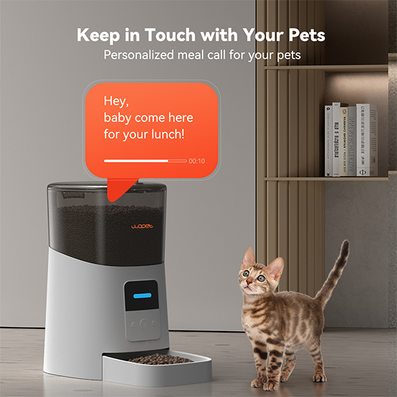 WOpet Automatic Pet Feeder WiFi Cat Feeder Remote Control丨Patrol