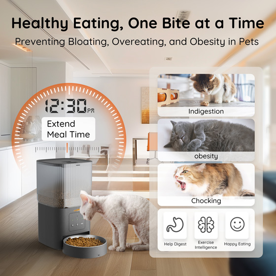 WOpet Cube Air WiFi Pet Feeder