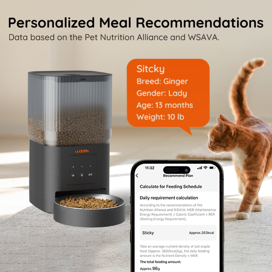 WOpet Cube Air WiFi Pet Feeder