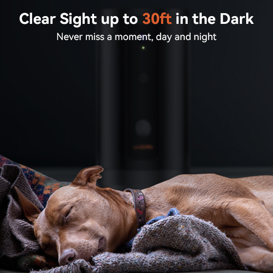 WOpet Guardian Dog Treat Camera Pet Camera with Treats (New Version)