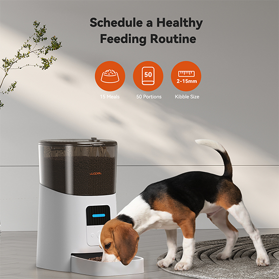 WOpet Automatic Pet Feeder WiFi Cat Feeder Remote Control丨Patrol