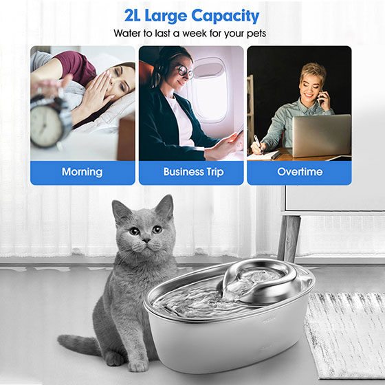 WOpet Cat & Dog Water Fountain Stainless Steel Water Dispenser丨Brook