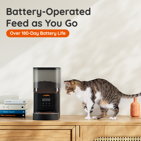 WOpet Cube Lite Automatic Pet Feeder