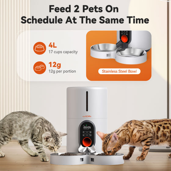 WOpet Barn Automatic Timed Feeder for Two Pets with Double Stainless Steel Bowls