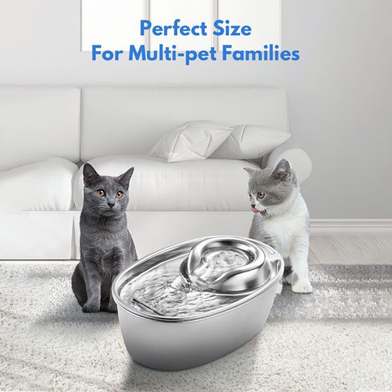 WOpet Cat & Dog Water Fountain Stainless Steel Water Dispenser丨Brook
