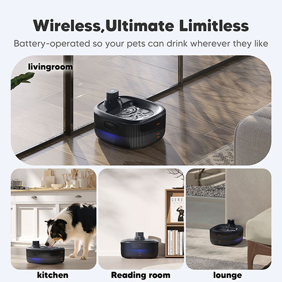 [Upgrade] WOPET Wireless Dog Water Fountain 6L for Large Dogs or Multiple Cats