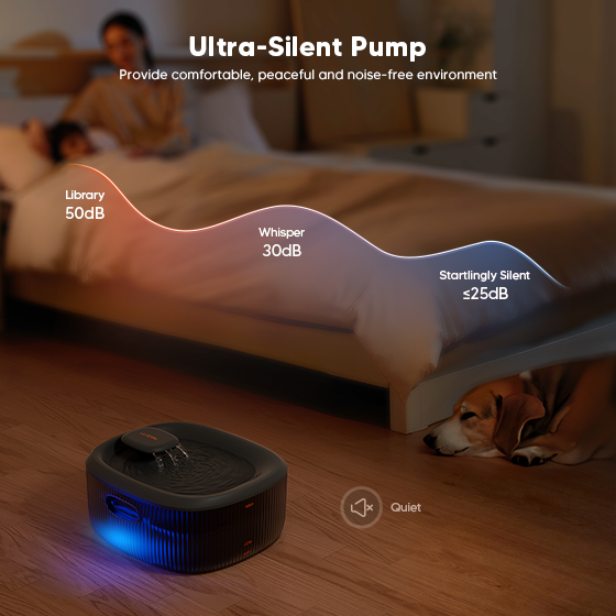 WOpet Basin Pet Water Fountain for Large Dogs Water Fountain 6L Capacity