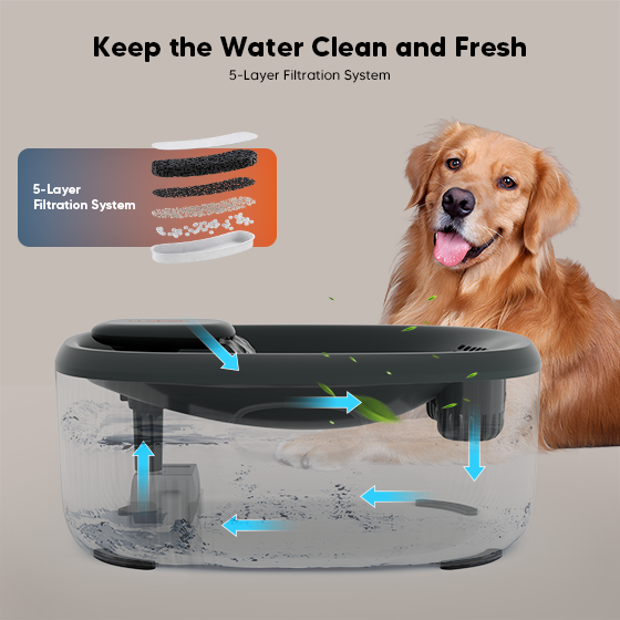 WOpet Basin Pet Water Fountain for Large Dogs Water Fountain 6L Capacity